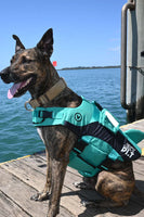 Jetpilot Venture Dog Pfd Life Jacket
