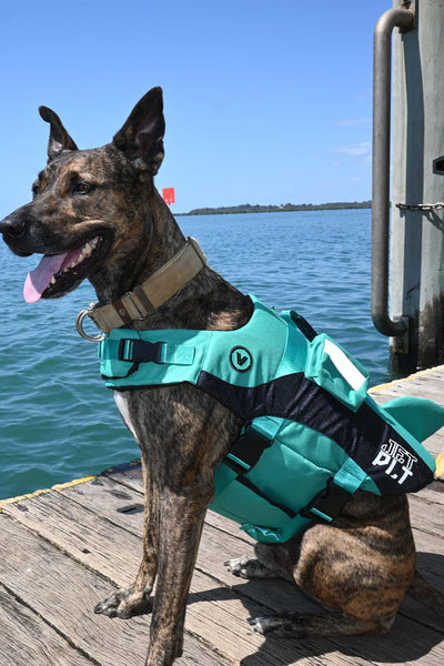 Jetpilot Venture Dog Pfd Life Jacket