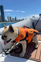 Jetpilot Venture Dog Pfd Life Jacket