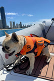 Jetpilot Venture Dog Pfd Life Jacket